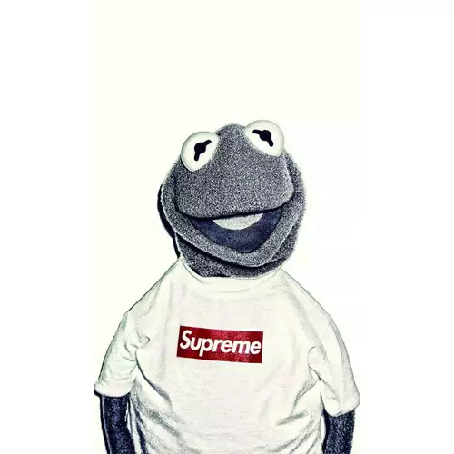 Пленка Форвард (FR-0015) для задней поверхности c рисунком Kermit Supreme - GOODMi