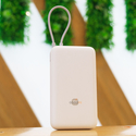 Внешний аккумулятор Xiaomi 33W Power Bank With Cable 20000mAh (PB2030MI) Beige, Цвет: Бежевый, изображение 7 - GOODMi