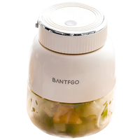 Портативный блендер Xiaomi Bantfgo Smoothie Blender White (500ml), Цвет: Белый - GOODMi