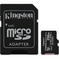 Карта памяти Kingston Canvas Select Plus microSDXC 256GB + SD адаптер - GOODMi