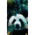 Пленка Форвард (FR-0107) для задней поверхности c рисунком PANDA - GOODMi