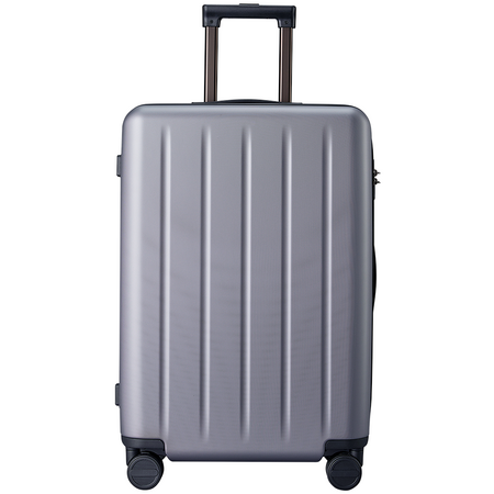 Чемодан NINETYGO Danube Luggage 24" Gray, Цвет: Серый, изображение 2 - GOODMi