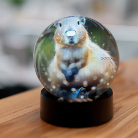 Видео шар с воспоминаниями, изображение 2 - GOODMi