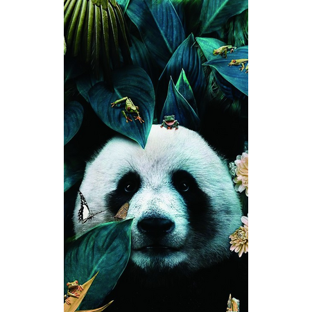 Пленка Форвард (FR-0107) для задней поверхности c рисунком PANDA - GOODMi